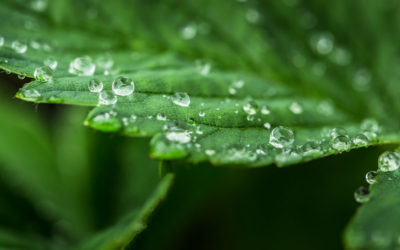 Hydrophobic textures at IPF Japan 2023